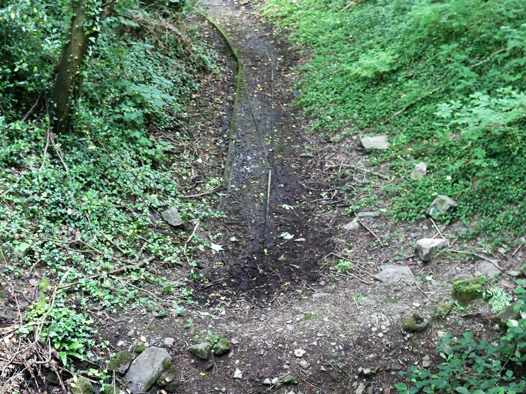 Llanymynech Rocks Nature Reserve景点图片