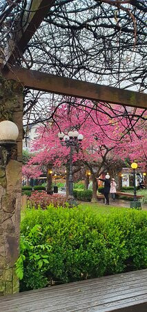 Praca Major Nicoletti-格拉玛多必去景点