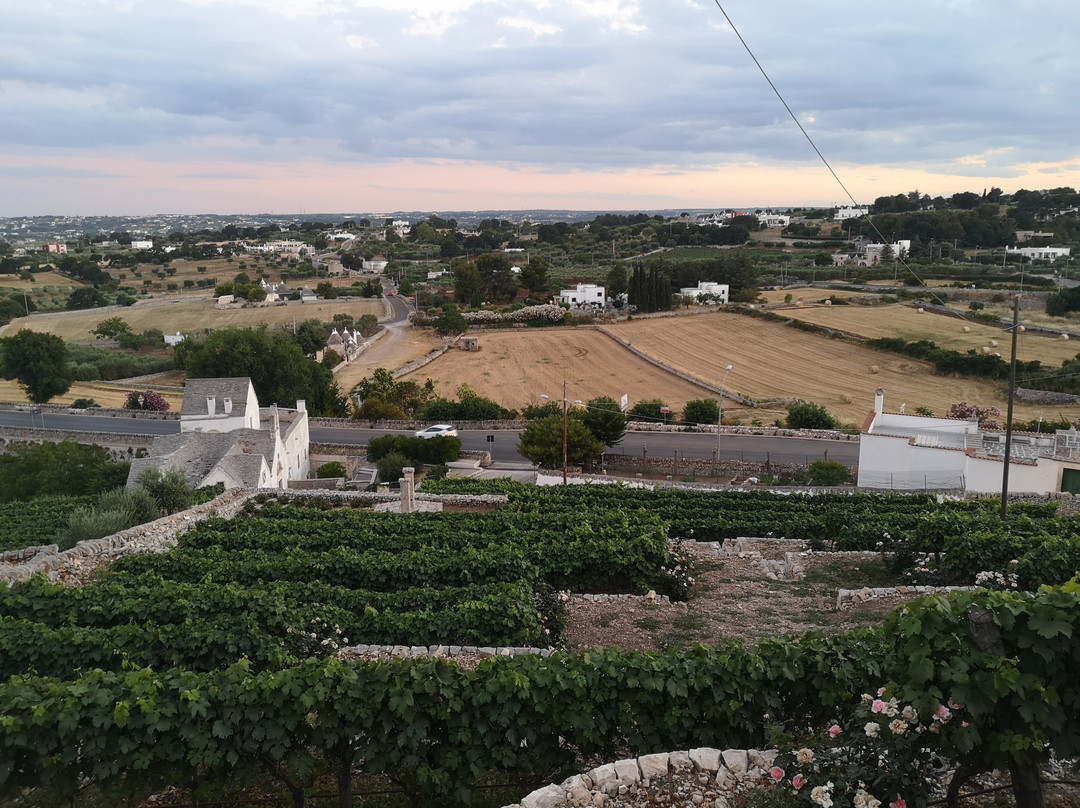Azienda Agricola Bufano-洛科罗通多必去景点