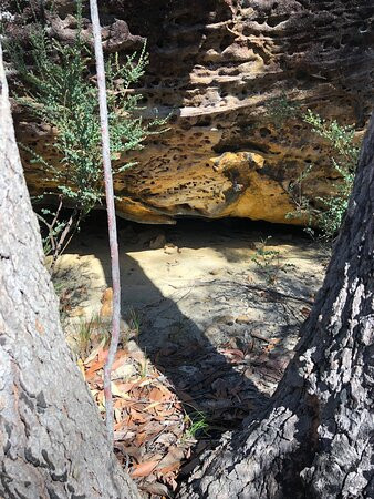 Shirlow Road Fire Trail景点图片