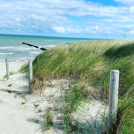 The Grand Ahrenshoop主图