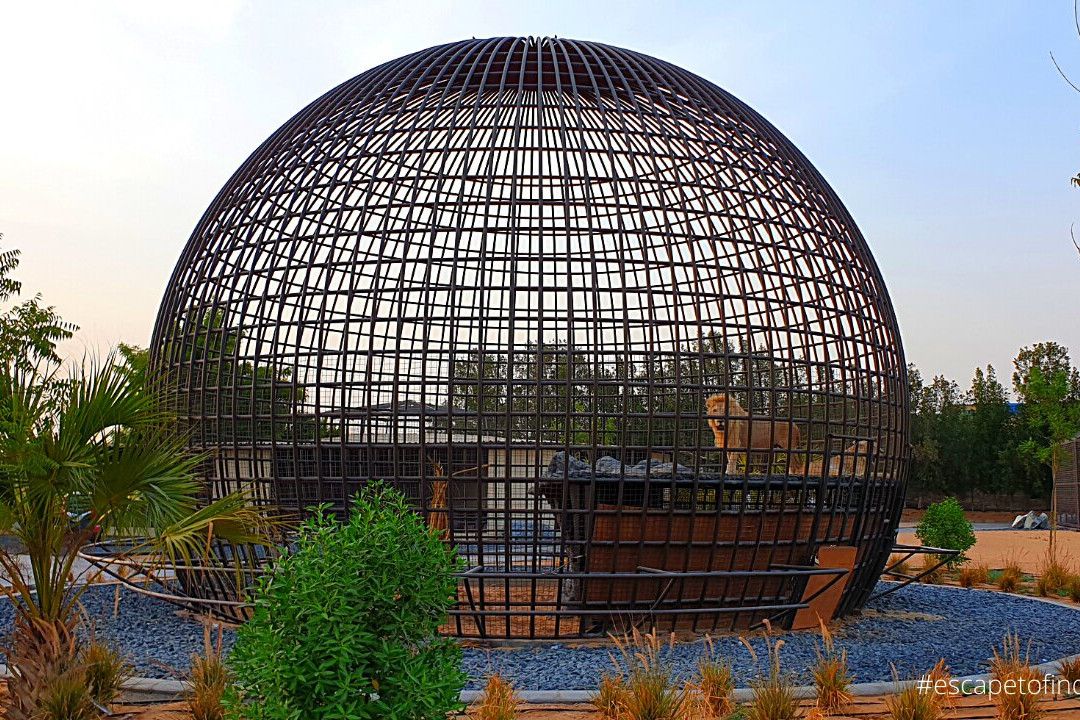 The Zoo Wild Life Park-乌姆盖万必去景点