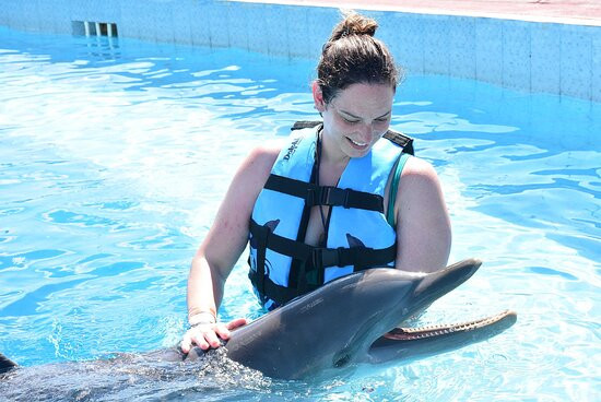 Dolphin Discovery Tulum - Akumal景点图片