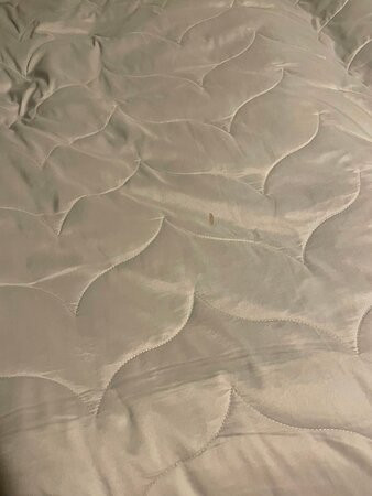 Beach Estates Inn主图