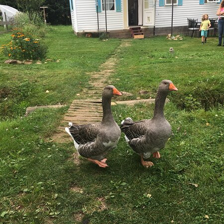 La Maison du Bonheur主图