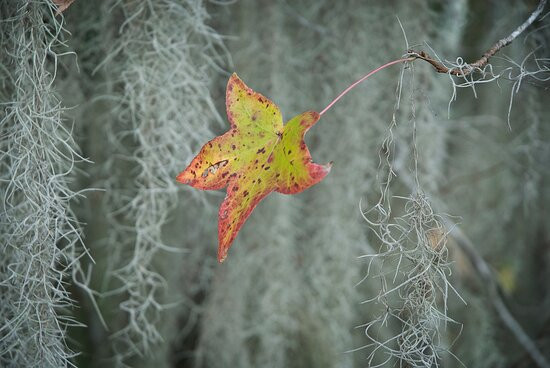 Melon Bluff Nature Center-Sunbury必去景点