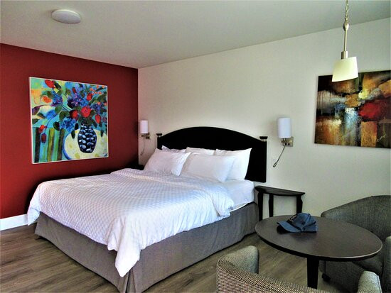 Hotel-Motel Castel de la Mer主图