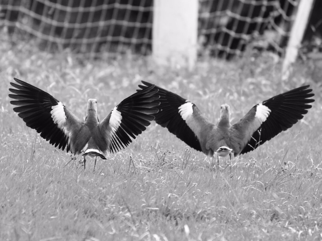 Hotel Ayenda Eclipse 1706主图