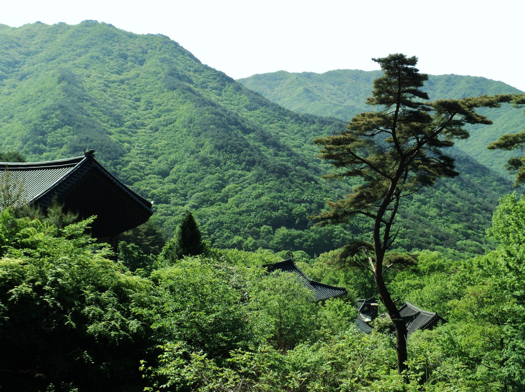 Jirisan National Park景点图片