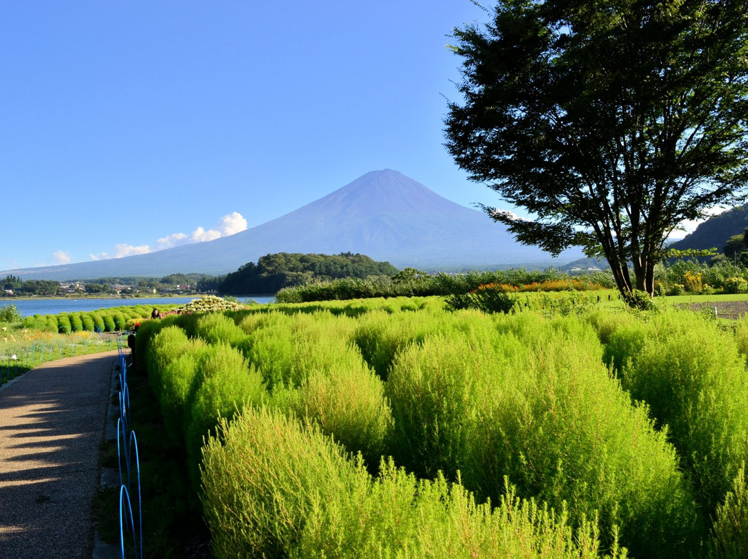 富士河口湖町旅游攻略图片