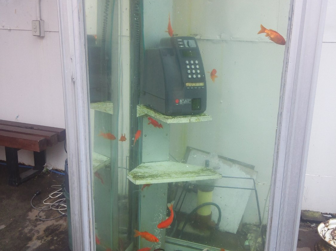 A Goldfish Swim Phone Box景点图片