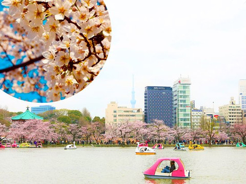 APA京成上野站前酒店主图