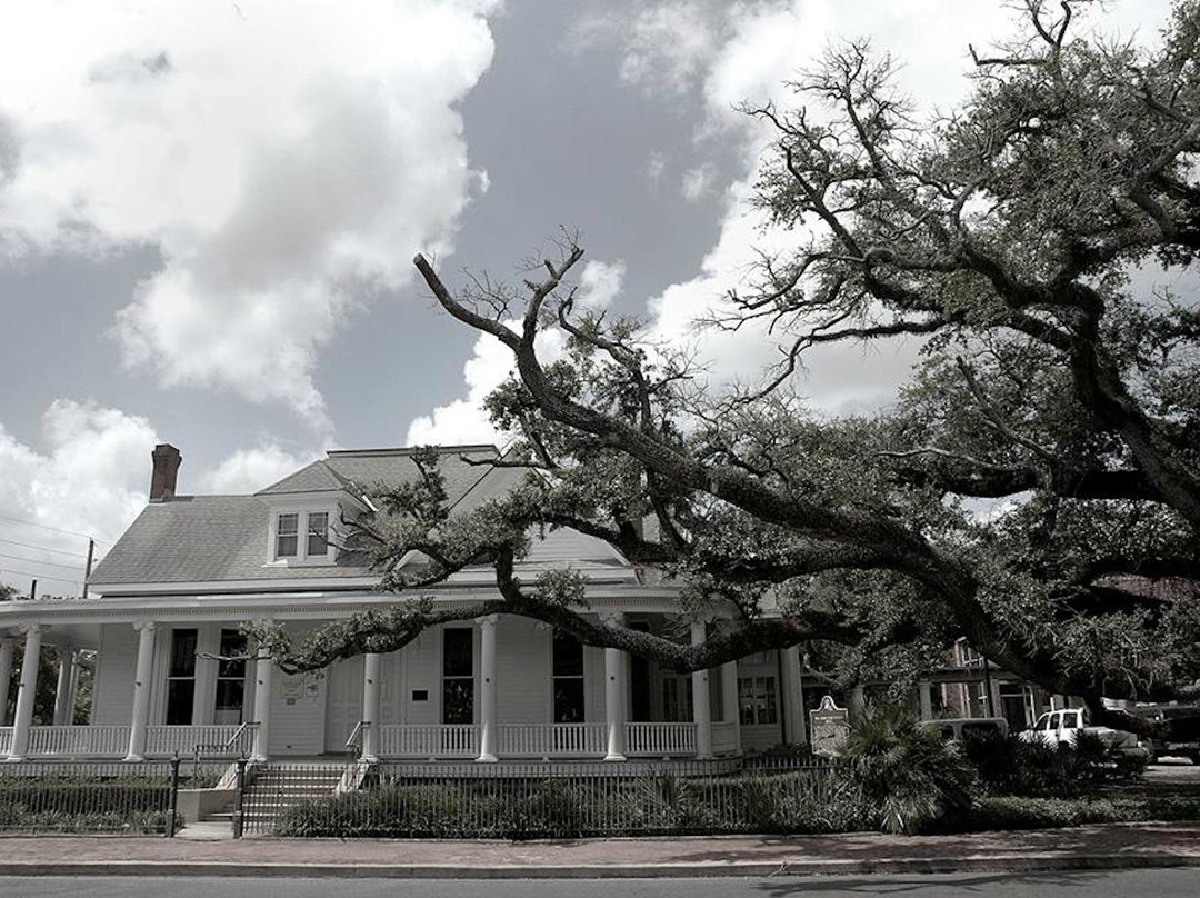 River Oaks Square Arts Center景点图片