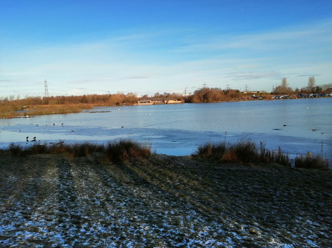Drumpellier Country Park景点图片