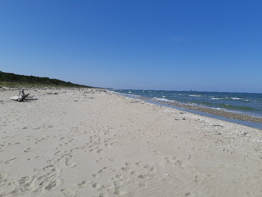 Spiaggia della Bassona景点图片