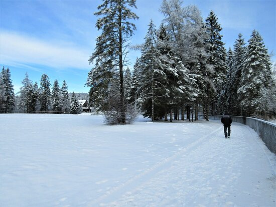 Station Touristique Lac Beauport景点图片