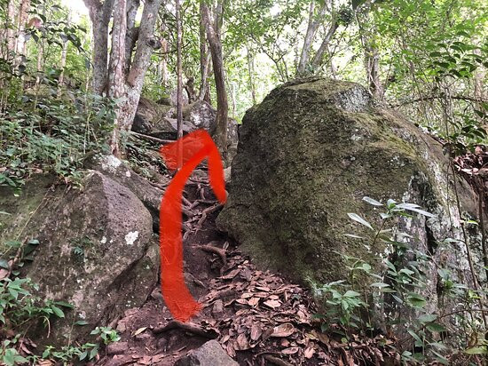 Morne Larcher-Le Diamant必去景点