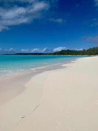 Shannas Cove Resort主图