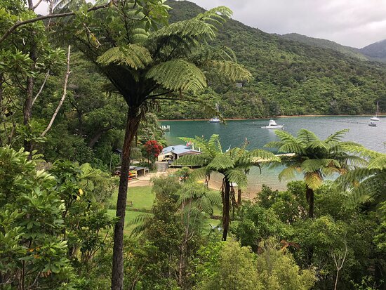 Punga Cove Resort-浴室