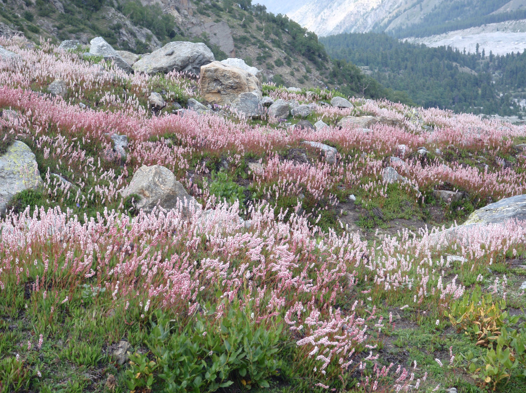 Nanga Parbat-Astore必去景点