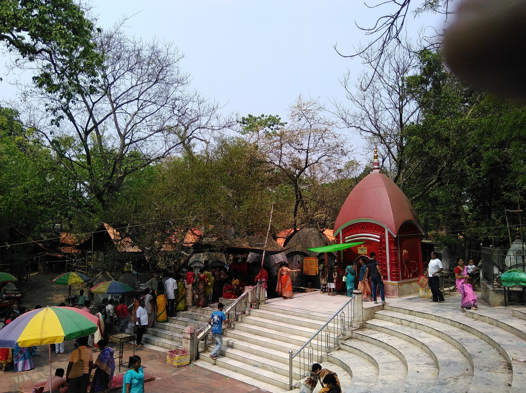 Maa Tara Temple景点图片