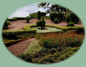 Tropical Botanical Garden