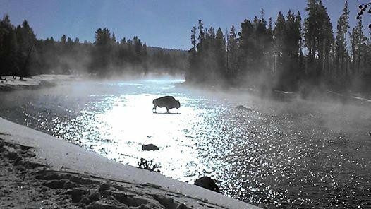 Two Top Snowmobile Rentals and Tours-西黄石镇必去景点