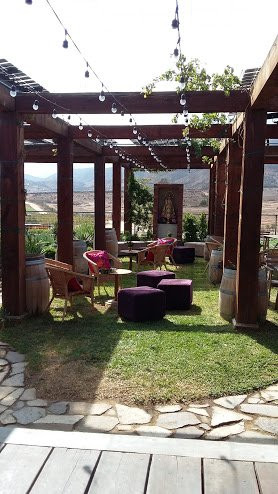 Baja Front Desk Wine Tours