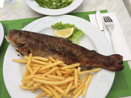 Aica di Sopra餐馆和美食-Restaurant Pizzeria Forellenhof