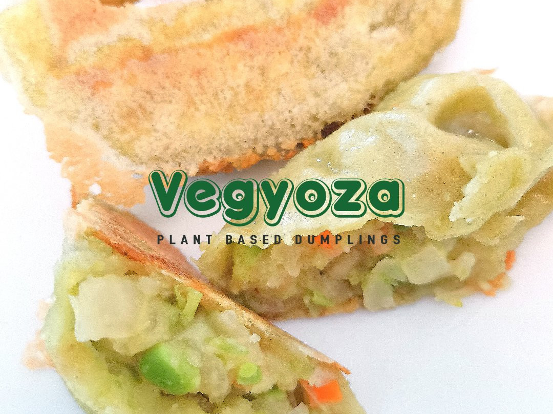 Vegyoza Manufacturer