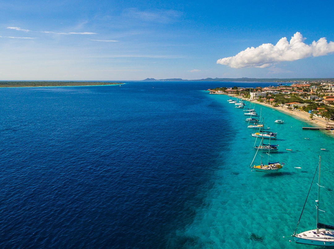 博奈尔岛旅游攻略图片
