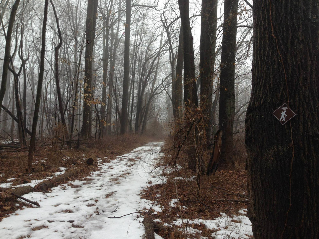Franklin Park Natural Area-Franklin Park必去景点