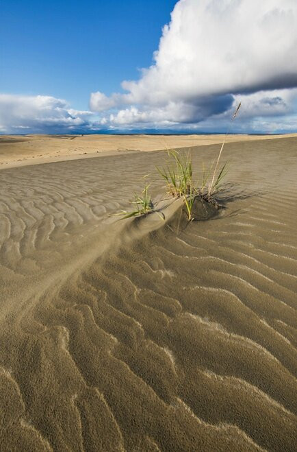 Kobuk Valley National Park旅游攻略图片