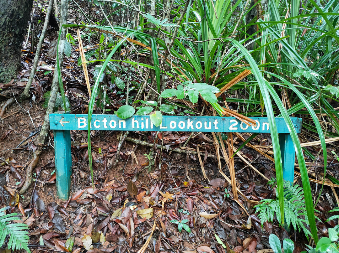 Bicton Hill Walking Track景点图片