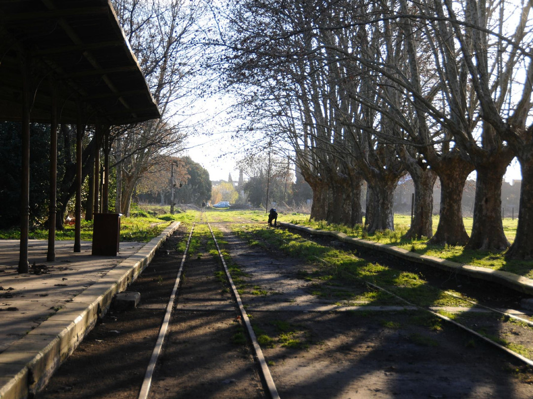 Mercedes旅游攻略图片