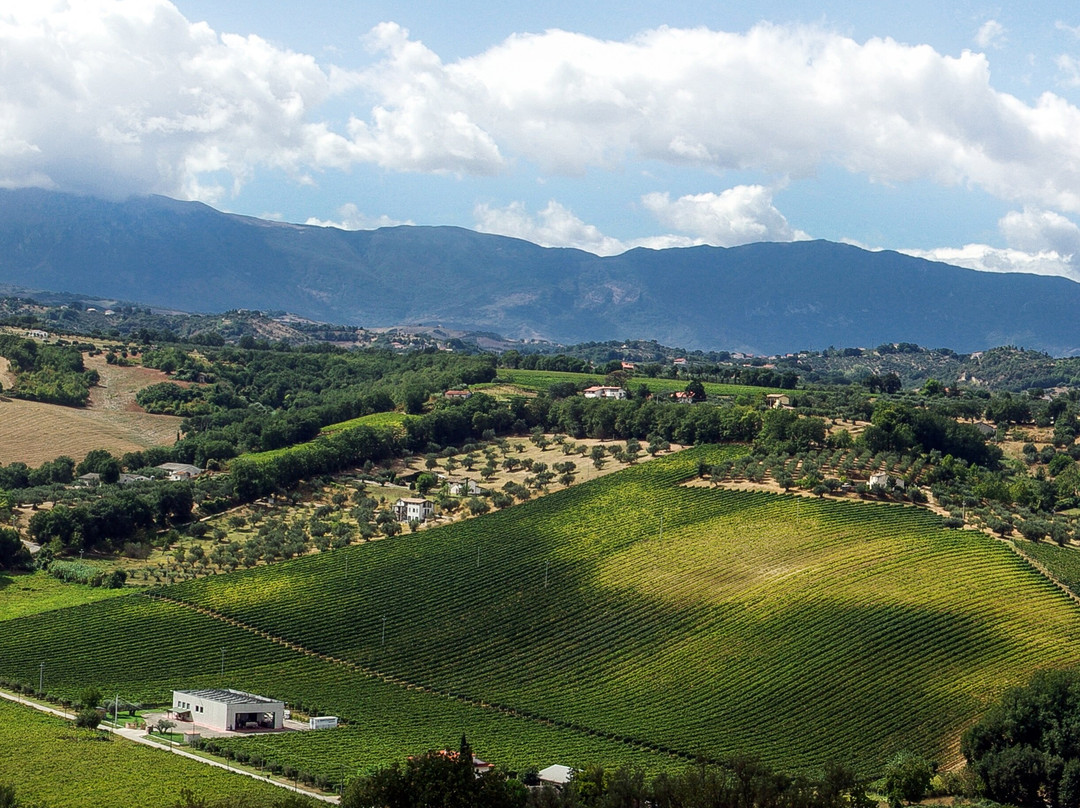 Tenuta Arabona景点图片
