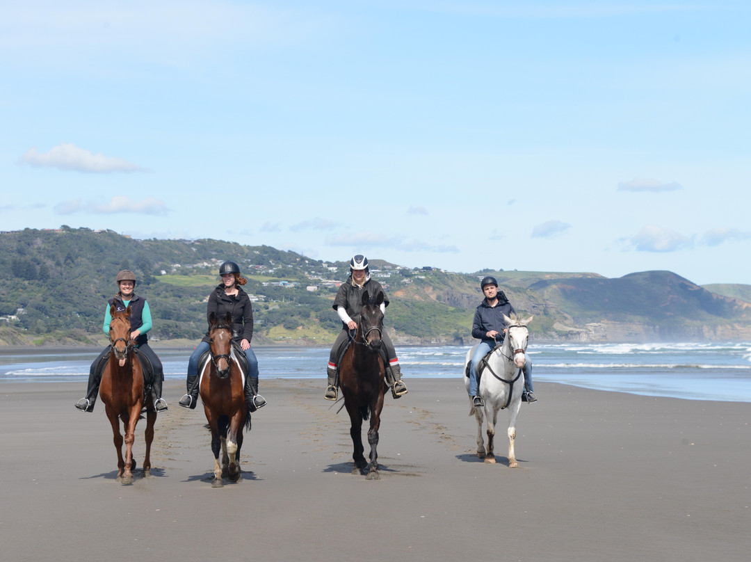 Muriwai Beach Horse Treks景点图片