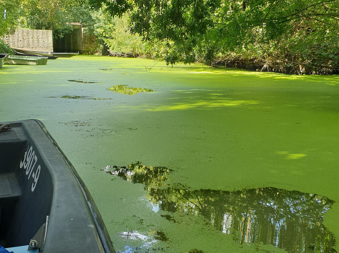 Les Grands Vents主图