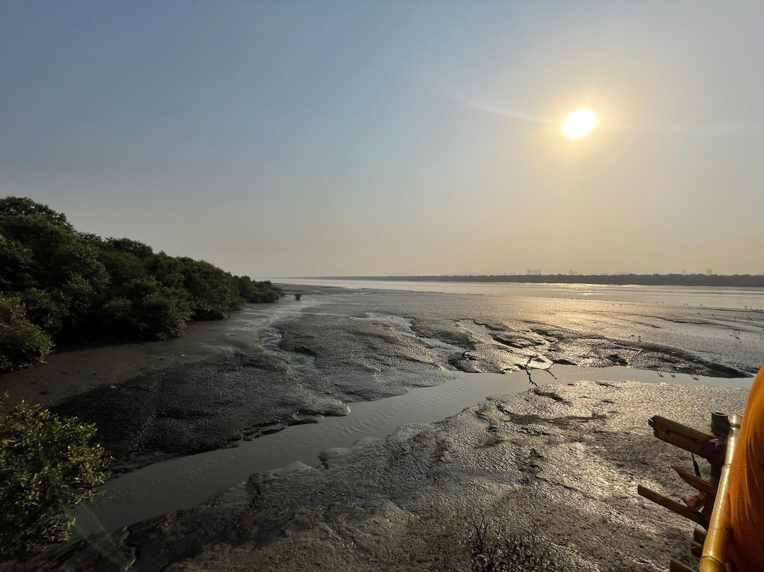 Thane Creek Flamingo Sanctuary景点图片