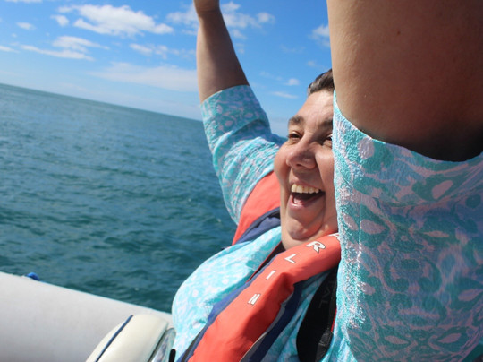 Koala Adventure Tours