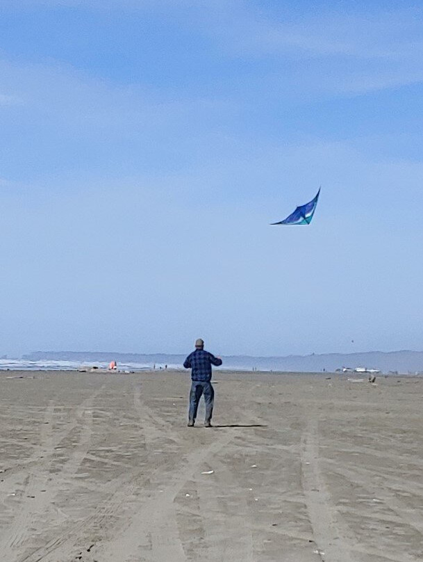 Sand Dollar Inn and Cottages主图