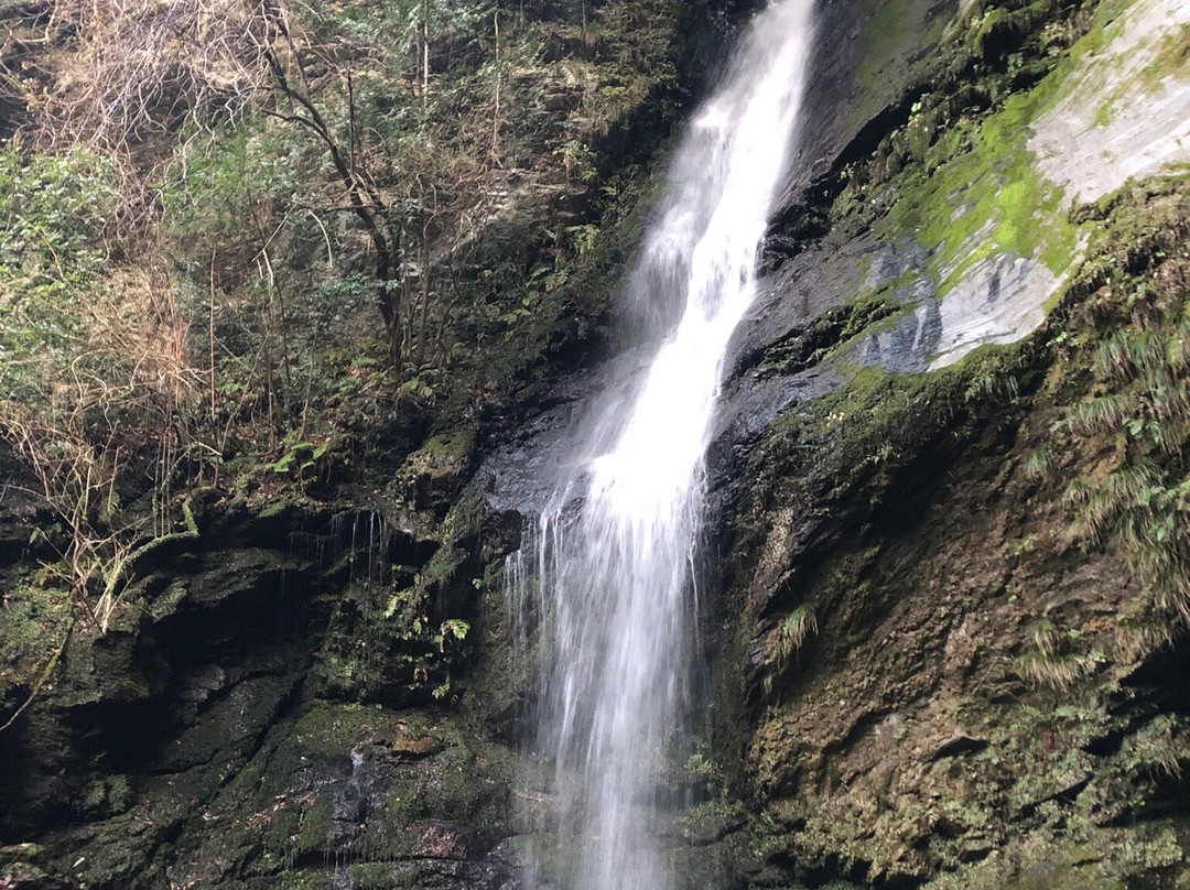 Biwa Waterfall-三好市必去景点