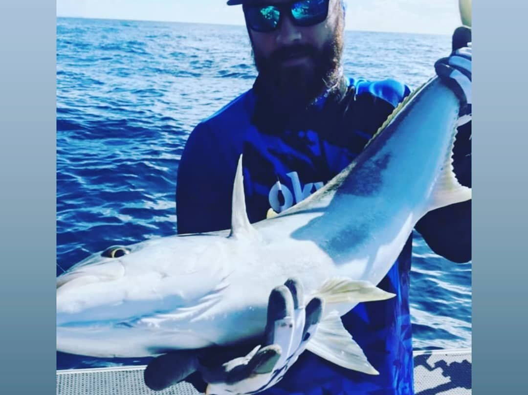 Northside Adventures-奥克兰中心地区必去景点