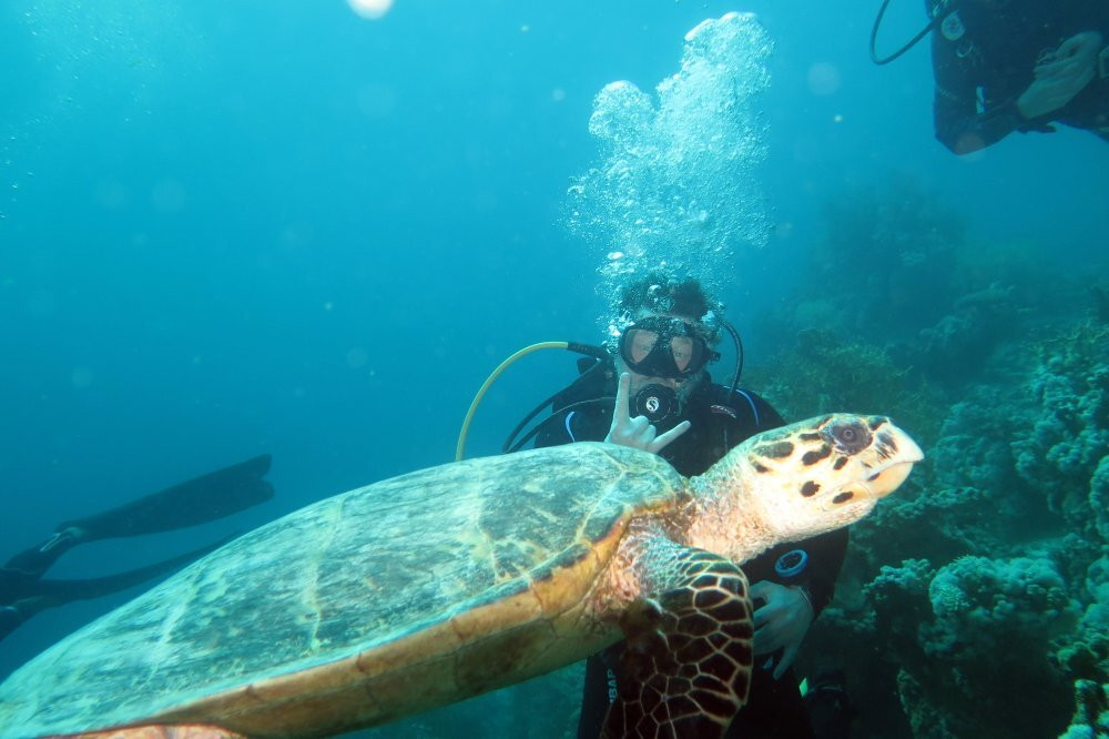 Easy Divers-沙姆沙伊赫必去景点