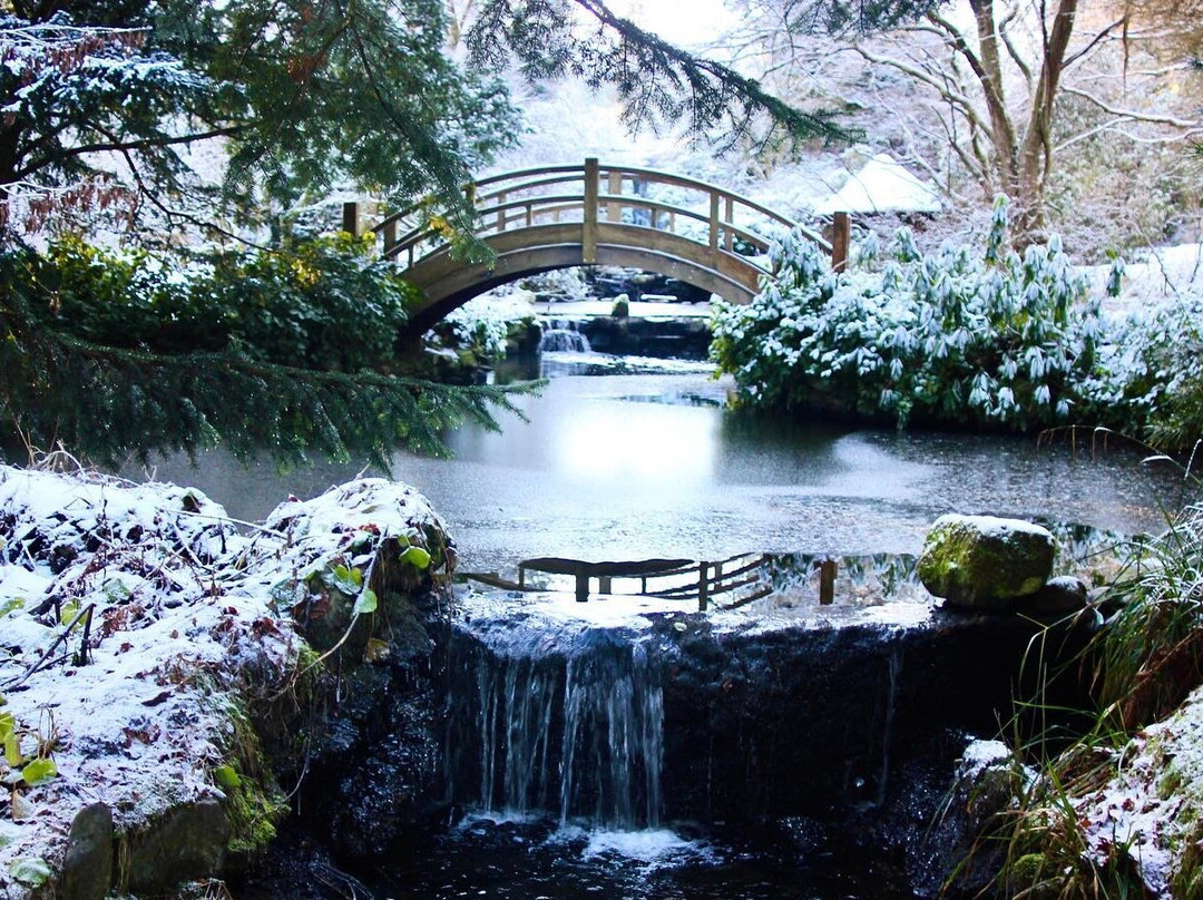Japanese Water Garden景点图片