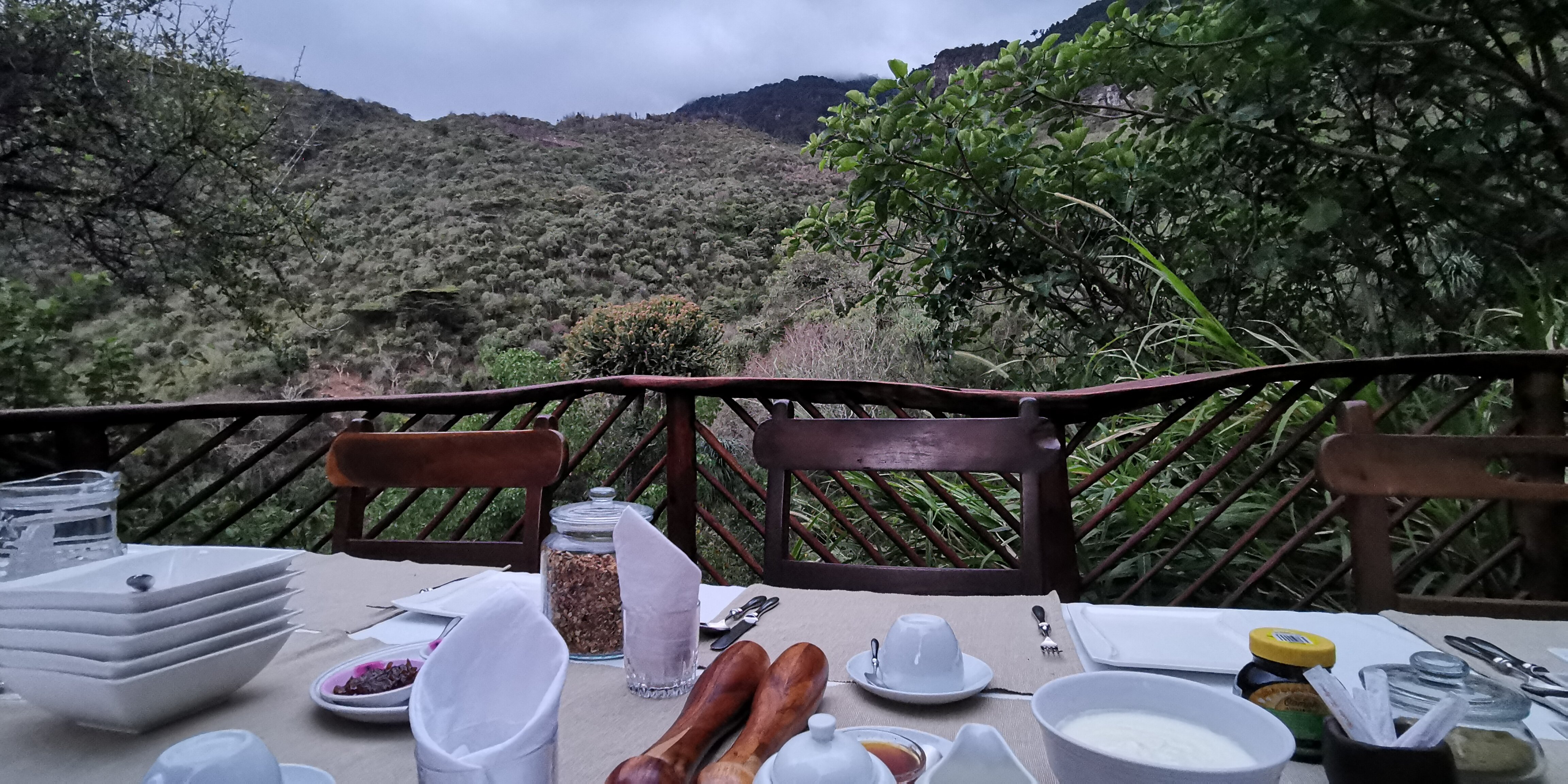Desert Rose Kenya-餐饮
