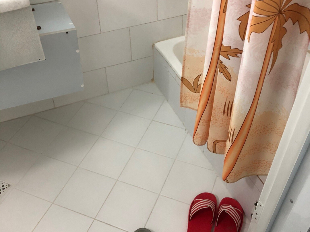 Shiraz International Parseh Hotel主图