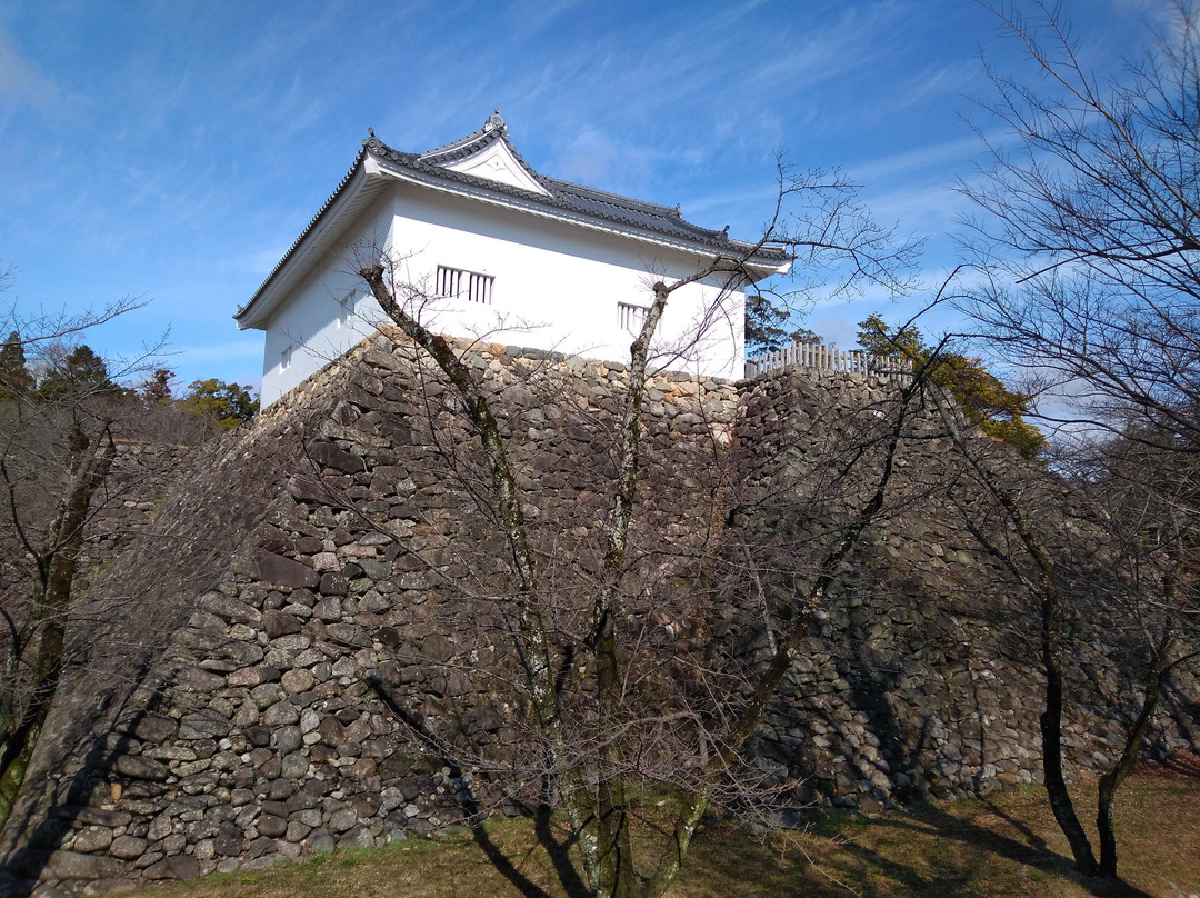 Kameyamajo Ato景点图片