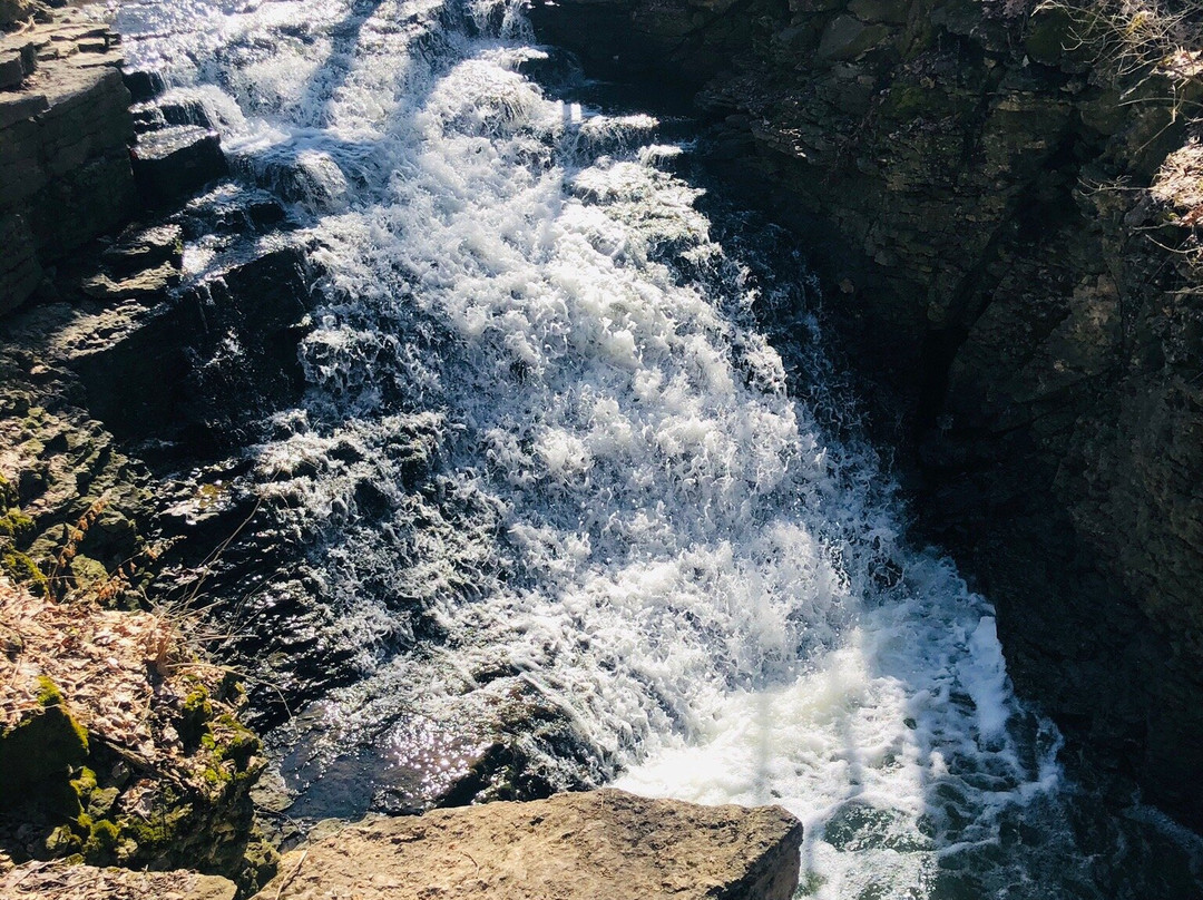 Indian Run Falls-都柏林必去景点