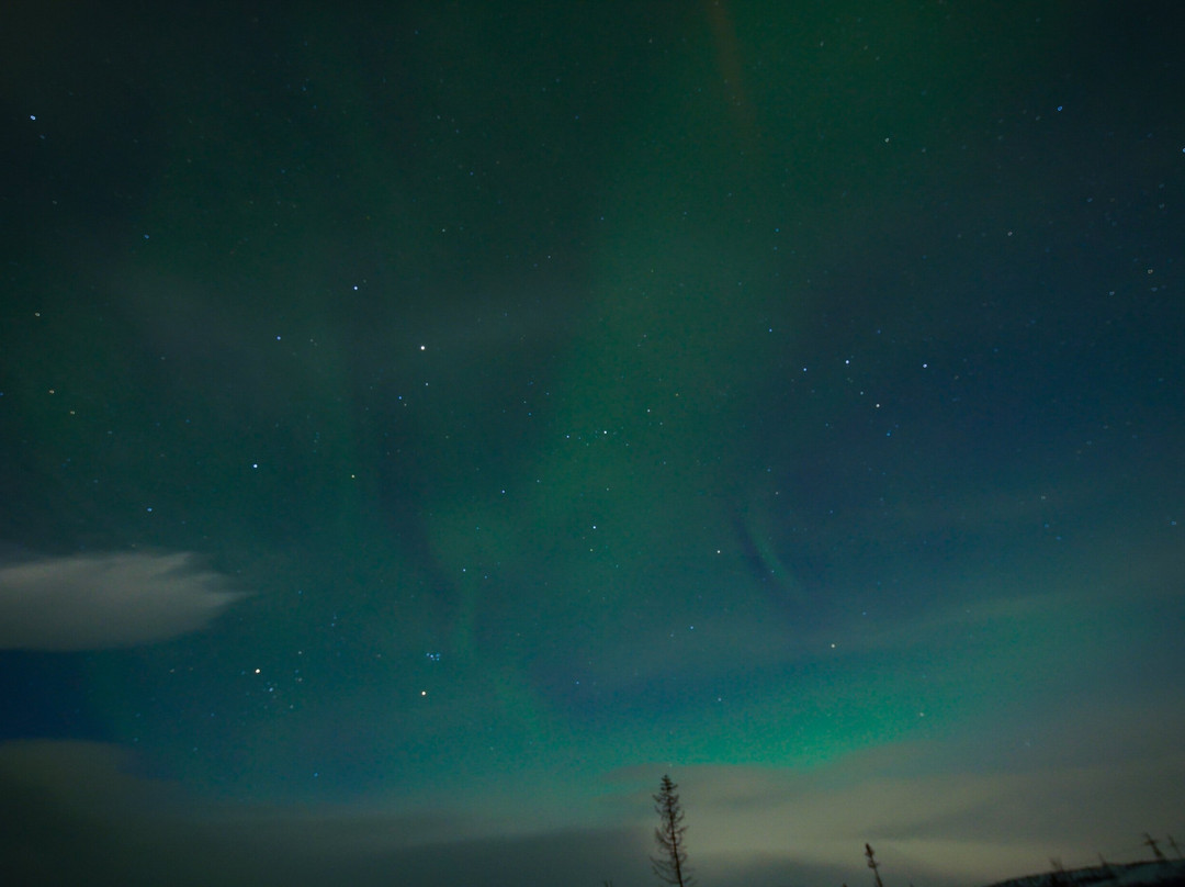Arctic Freedom景点图片